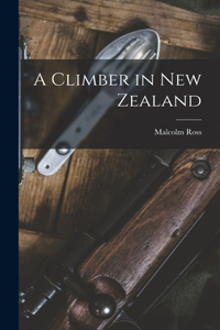 Climber in New Zealand