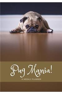 Pug Mania