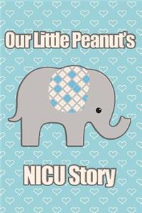 Our Little Peanut's NICU Story