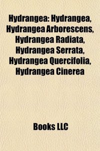 Hydrangea: Hydrangea Arborescens, Hydrangea Radiata, Hydrangea Serrata, Hydrangea Quercifolia, Hydrangea Cinerea, Hydrangea Macro
