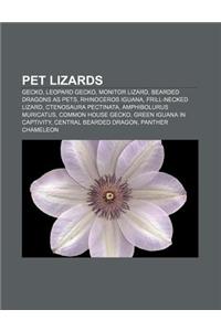 Pet Lizards