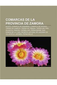 Comarcas de La Provincia de Zamora