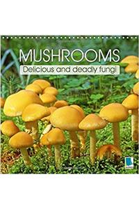 Mushrooms - Delicious and Deadly Fungi 2017