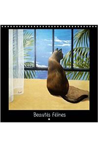 Beautes Felines 2017