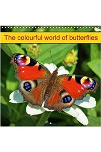 Colourful World of Butterflies 2018