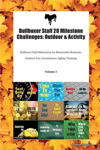 Bullboxer Staff 20 Milestone Challenges