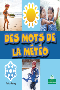 Des Mots de la Météo (Weather Words)