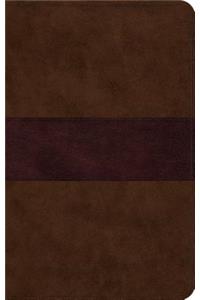 ESV Large Print Thinline Bible