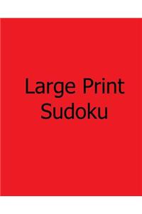 Moderate Large Print Sudoku