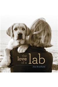 The Love of a Lab