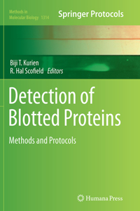 Detection of Blotted Proteins