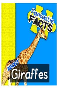 Fantastic Facts about Giraffes