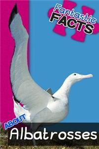 Fantastic Facts about Albatrosses: Illustrated Fun Learning for Kids