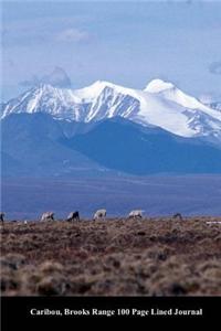 Caribou, Brooks Range 100 Page Lined Journal