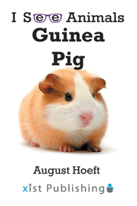Guinea Pig