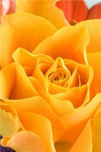 Yellow Rose Journal