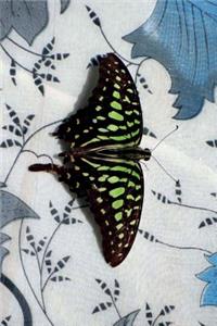 Tailed Jay Butterfly (Graphium Agamemnon) Journal: 150 Page Lined Notebook/Diary
