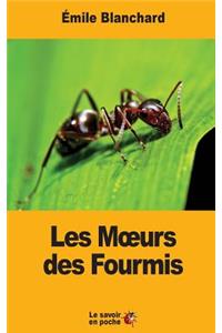 Les Moeurs des Fourmis