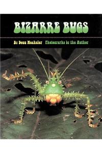 Bizarre Bugs