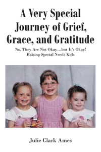 Very Special Journey of Grief, Grace, and Gratitude