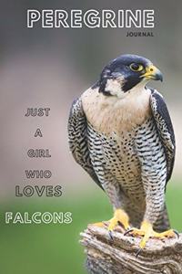 Peregrine falcon journal &Notebook 6