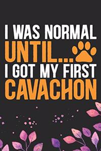 I Was Normal Until I Got My First Cavachon