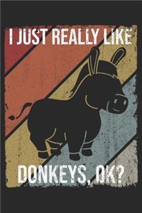 I Just Really Like Donkeys, OK?