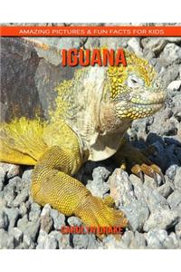 Iguana: Amazing Pictures & Fun Facts for Kids