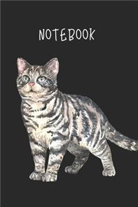 Cat notebook