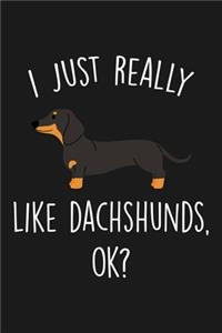 I Just Really Like Dachshunds Ok