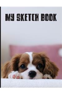 My Sketch Book