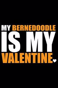 My Bernedoodle Is My Valentine