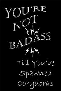 You're Not Badass Till You've Spawned Corydoras