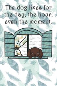 The dog lives for the day, the hour, even the moment.