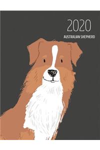 2020 Australian Shepherd