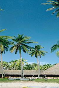 2020 Weekly Planner Palm Tree Vacation Travel 134 Pages