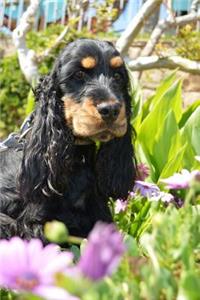 Black and Tan Cocker Spaniel in the Garden Journal