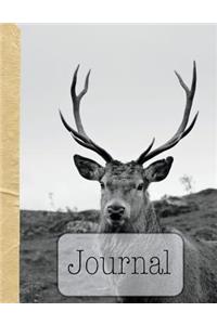Journal