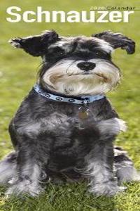 Schnauzer Slim Calendar 2020