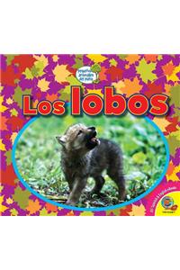Los Lobos
