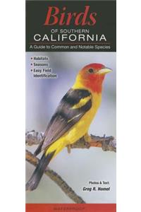 Birds of Southern California