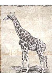 Vintage Giraffe Print: College Ruled Journal Composition Notebook