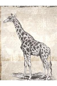 Vintage Giraffe Print