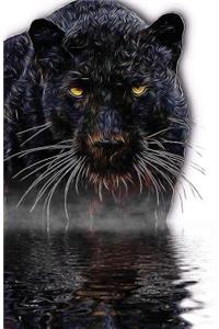 The Panthers Notebook