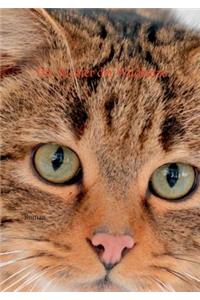 Die Tochter der Wildkatze