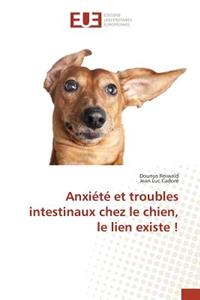 Anxiété Et Troubles Intestinaux Chez Le Chien, Le Lien Existe !