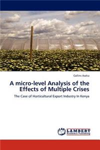 Micro-Level Analysis of the Effects of Multiple Crises