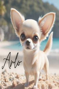 Arlo