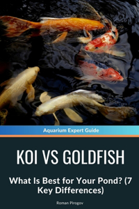 Koi vs Goldfish