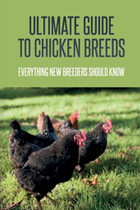 Ultimate Guide To Chicken Breeds